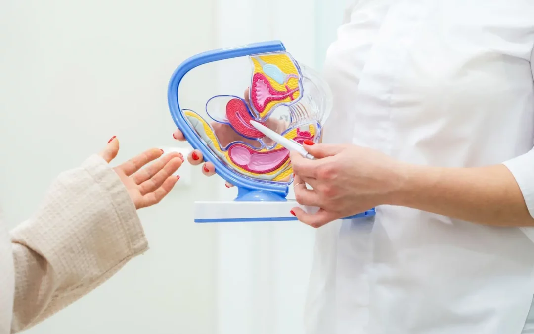 Infecciones más comunes del tracto genital inferior