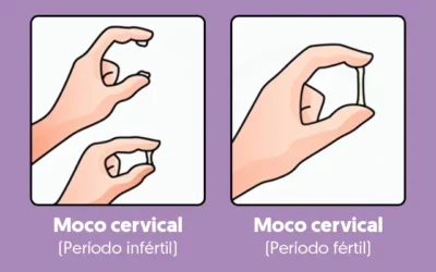 Moco cervical (flujo vaginal)