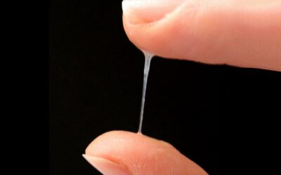 Moco cervical y ovulacion